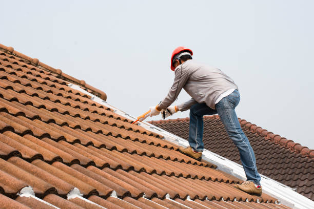 Best Wood Shake Roofing  in Pocono Springs, PA