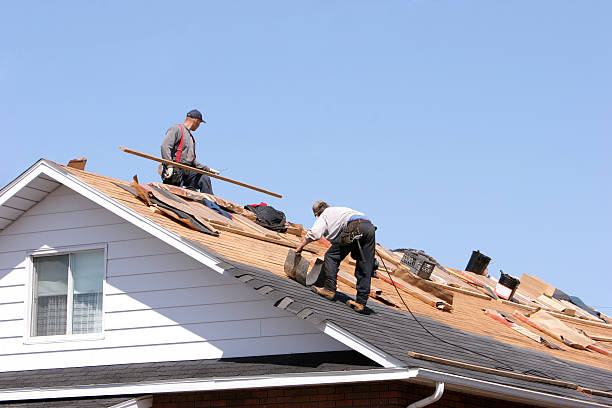 Best Roof Maintenance and Cleaning  in Pocono Springs, PA